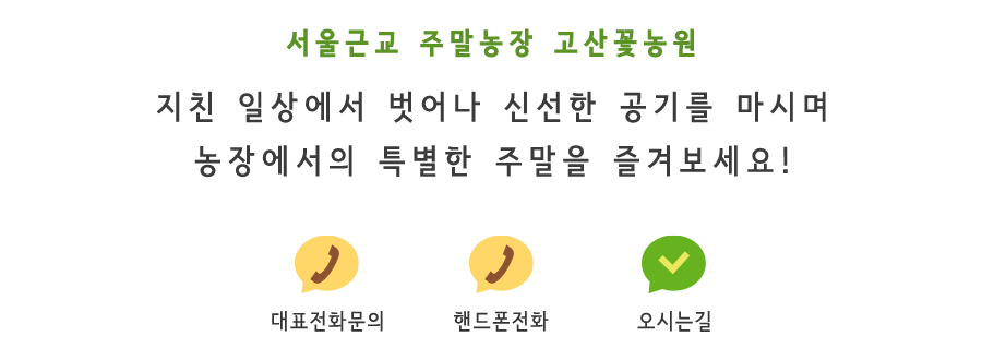 메인-배너-0